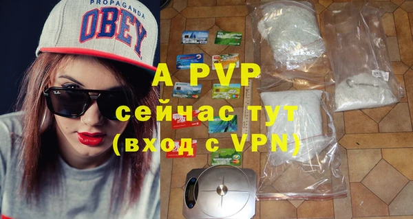 a pvp Алзамай