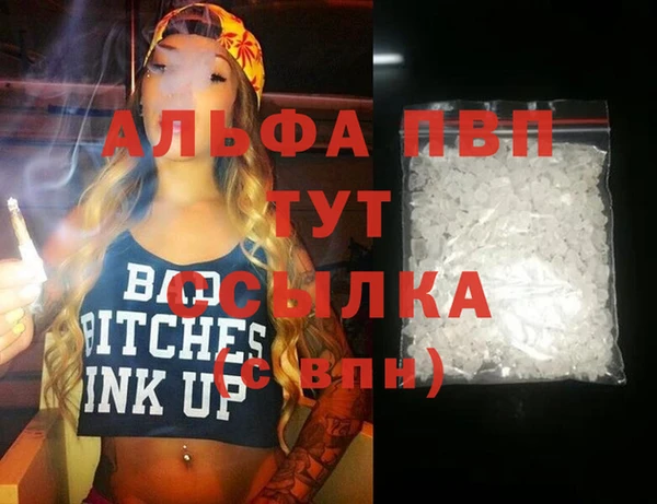 гидра Алексин