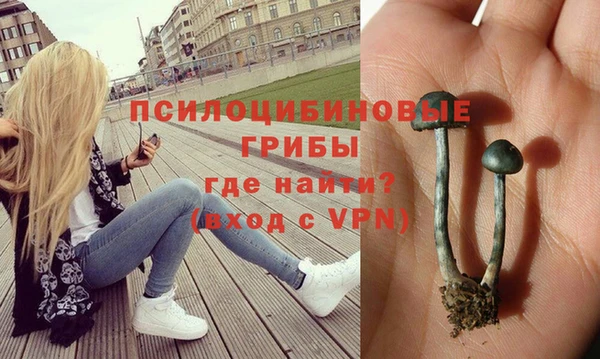 a pvp Алзамай