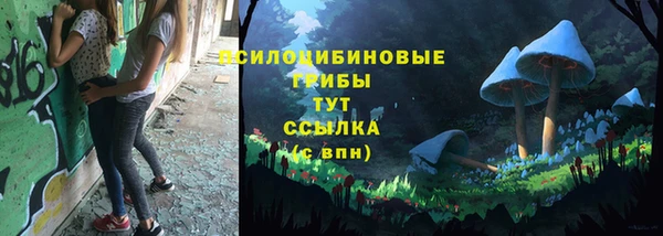 гидра Алексин