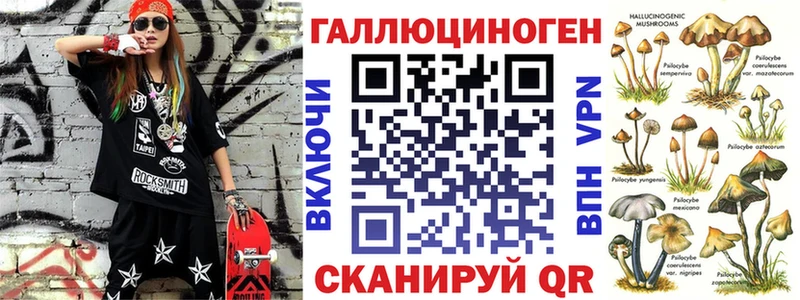 цена   Боготол  Галлюциногенные грибы Cubensis 