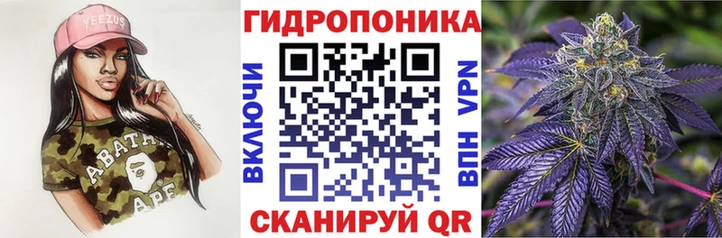Шишки марихуана план  купить закладку  Боготол 